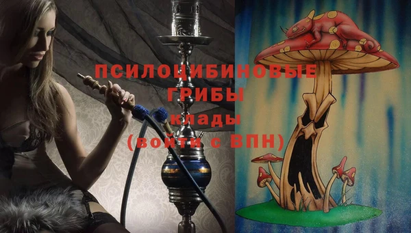 экстази Богородицк